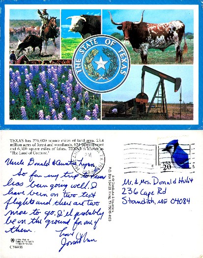 Texas Collage with State Symbols