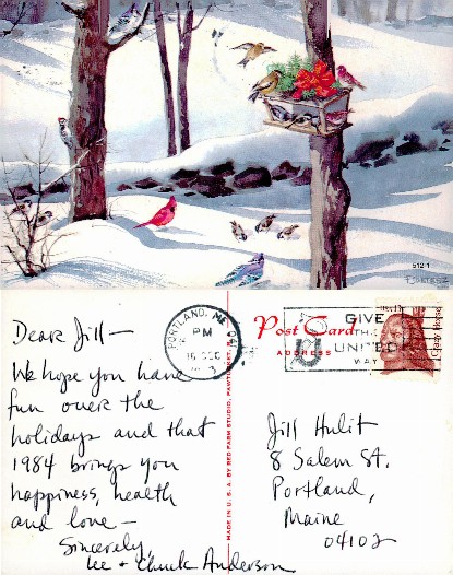 Winter Birds at Decorated Feeder
