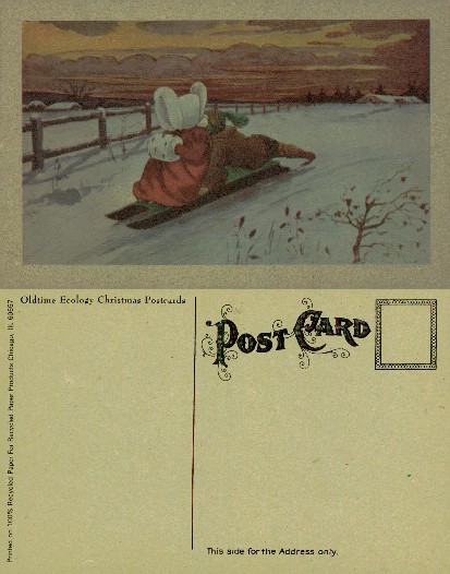 Children Sledding in Winter Landscape