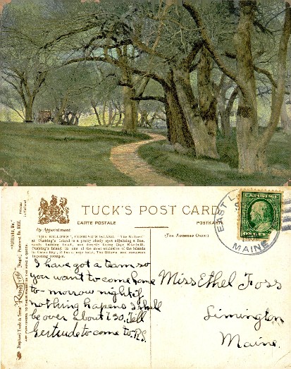 Path Through The Willows Grove
