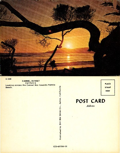 Sunset over Carmel Bay, Silhouetted Trees
