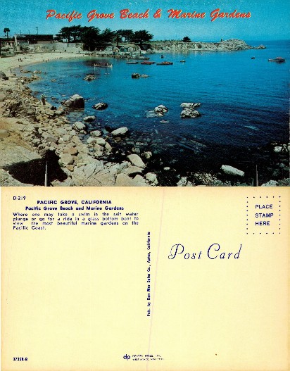 Pacific Grove Beach & Marine Gardens