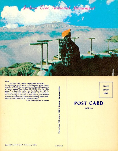 Panoramic Mountain View with Person
