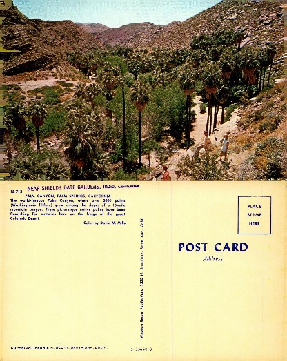 Palm Canyon with Desert Mountains