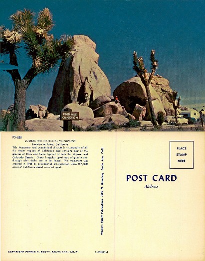 Joshua Tree National Monument Campground