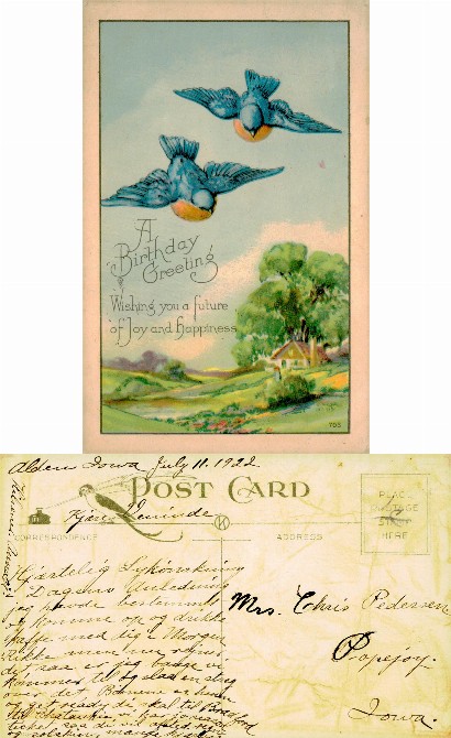 Illustrated Birthday Greeting with Birds