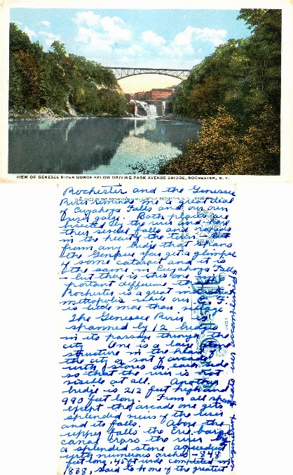 Genesee River Gorge, Bridge, and Falls