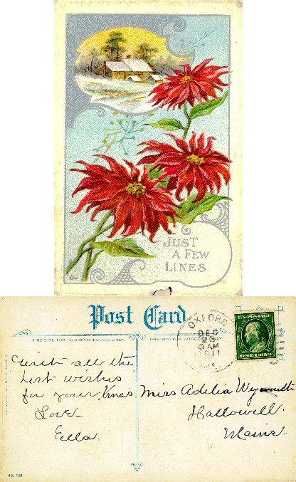 Poinsettias and Snowy Winter Scene