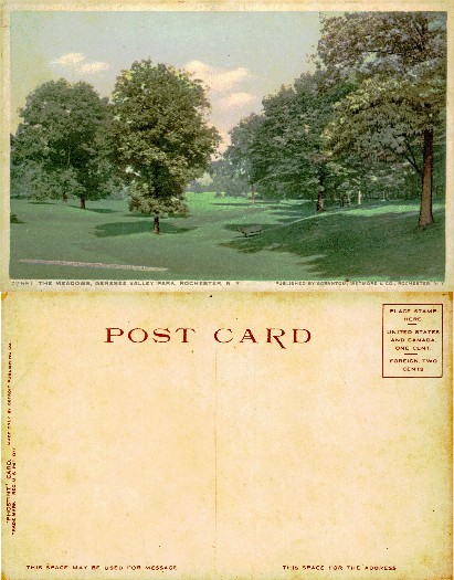Park Meadow Scene with Trees and Bench
