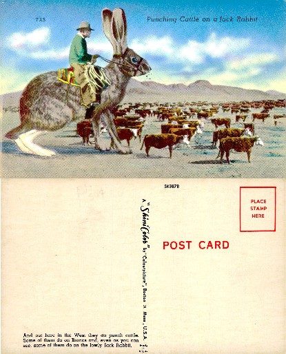 Cowboy Riding Giant Jackrabbit Herding Cattle