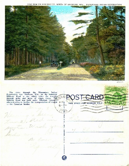 Pine Row on Highway 55
