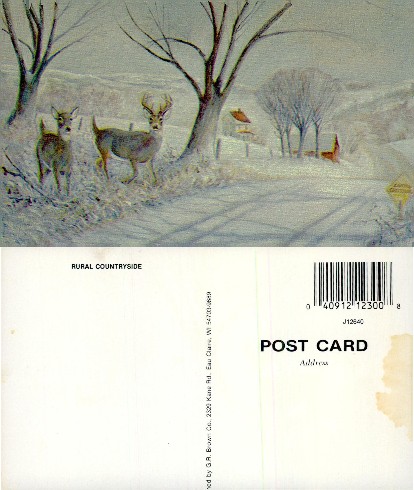 Deer in Snowy Rural Landscape