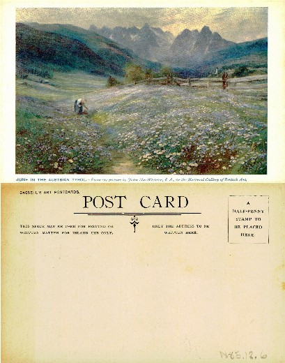 Mountain Landscape with Flower Field