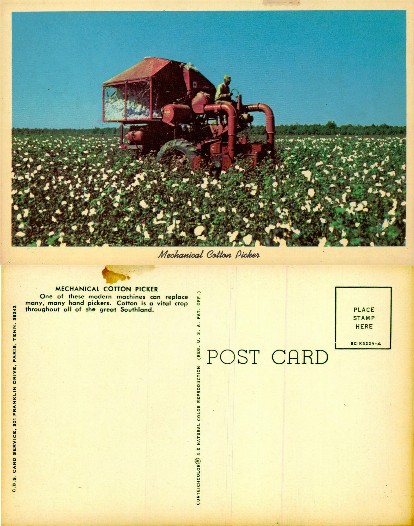 Mechanical Cotton Picker in Field