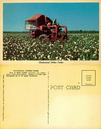 Mechanical Cotton Picker in Field