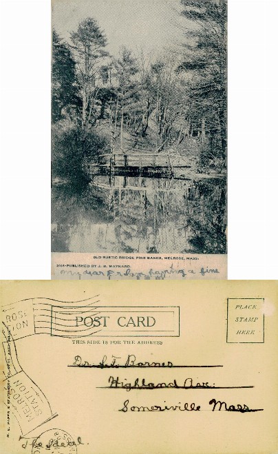 Old Rustic Bridge, Pine Banks