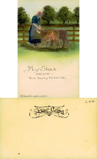 Woman with Calves in Pasture