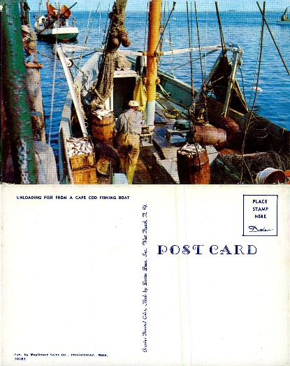 Unloading Fish from Cape Cod Fishing Boat