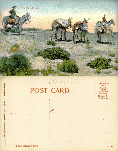 Desert Travelers with Donkeys