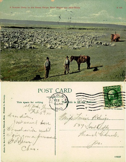 Sheep Camp, Herders, Horse & Wagon on Range