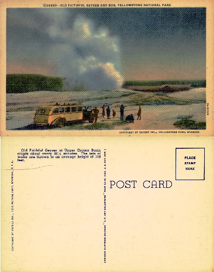 Old Faithful Geyser and Tourist Bus
