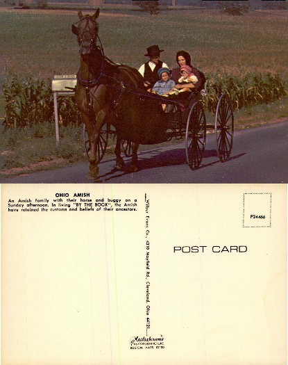 Amish Family in Horse and Buggy
