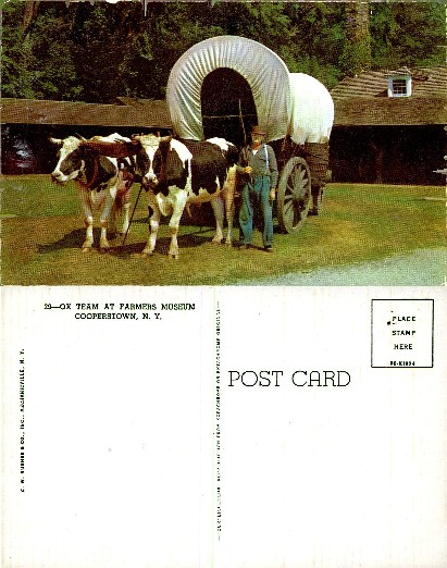 Ox Team and Covered Wagon at Museum