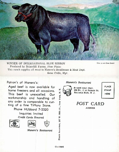 International Blue Ribbon Bull