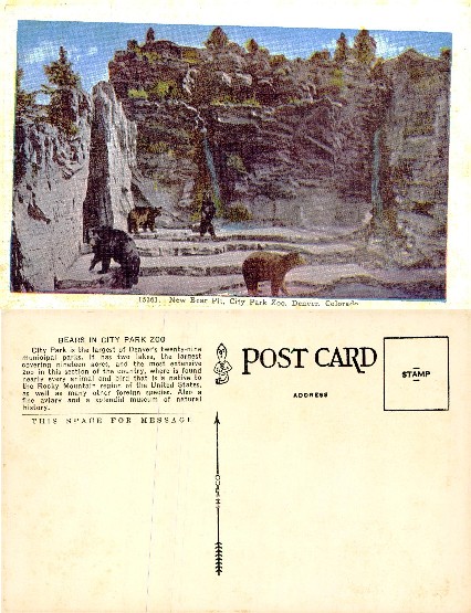 New Bear Pit, City Park Zoo