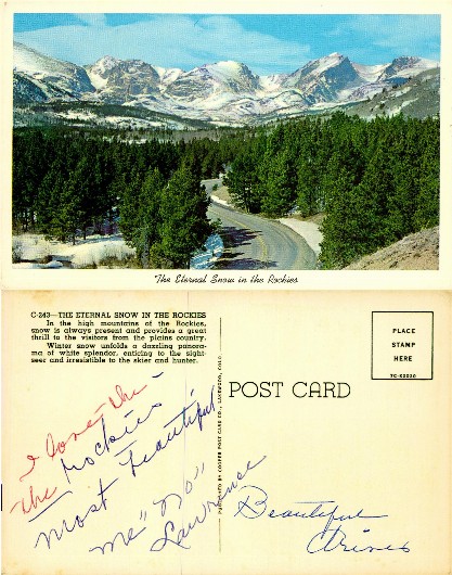 Snowy Mountain Road and Forest