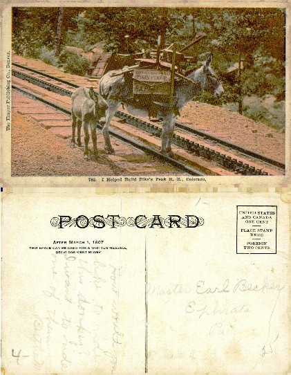 Donkeys on Pikes Peak Railroad