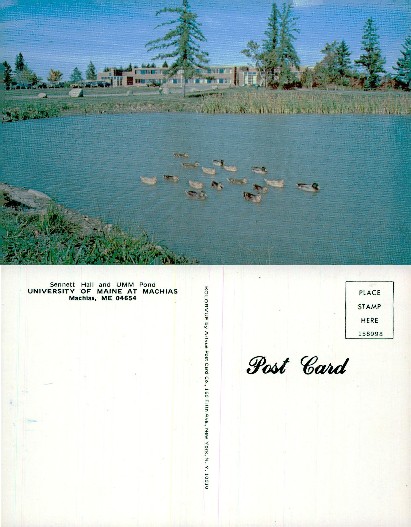 Sennett Hall and UMM Pond with Ducks