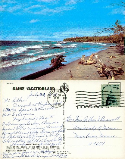 Rocky Beach with Waves and Driftwood