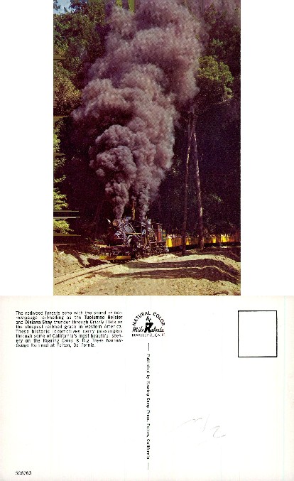Steam Train with Smoke in Redwood Forest