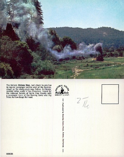 Steam Locomotive in Redwood Forest