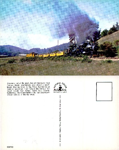 Narrow-gauge Steam Train in Forest