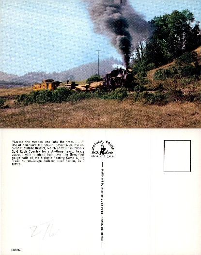 Steam Locomotive on Narrow-Gauge Railroad
