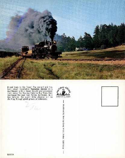Heisler Steam Train with Mixed Freight