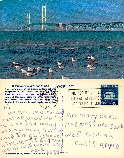 Mackinac Bridge with Seagulls over Water