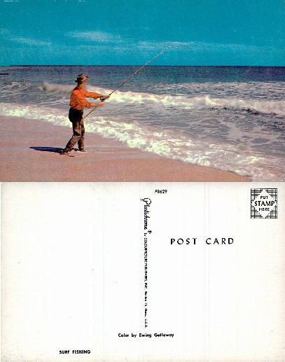 Man Surf Fishing on a Beach