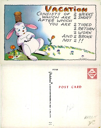 Cartoon Rabbit Vacation Humor