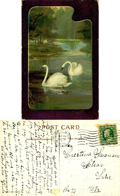 Two White Swans on a Lake