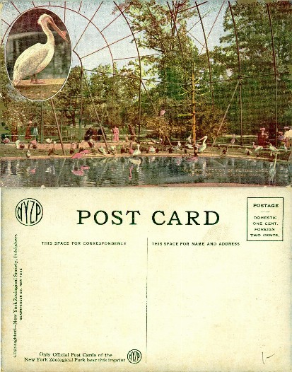 Interior of Flying Cage, New York Zoo
