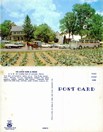 Amish Farm and House with Buggy & Bus