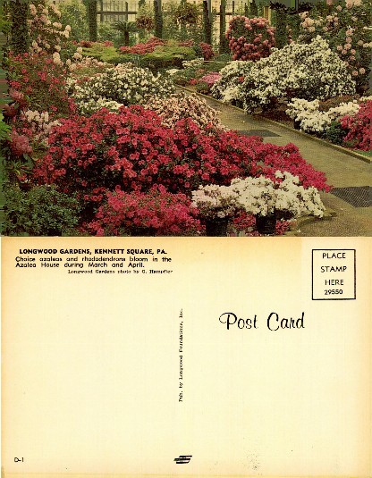 Azaleas and Rhododendrons Azalea House