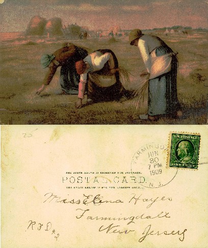 Women Harvesting Grain in a Field