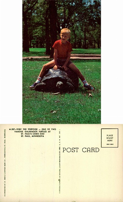 Boy Riding Galapagos Tortoise