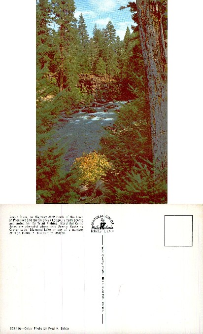 Rogue River in Forest