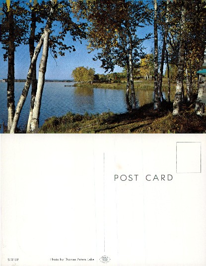 Autumn Lake View with Birch Trees
