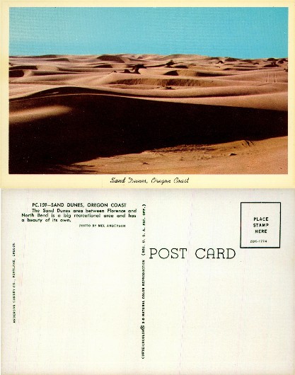 Sand Dunes, Oregon Coast